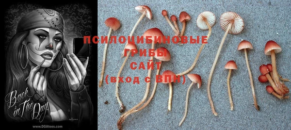 гидропоника Алексин