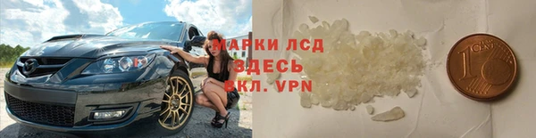 стаф Алзамай