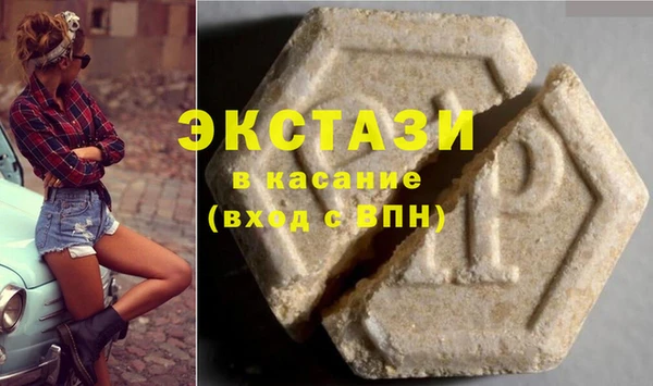 стаф Алзамай