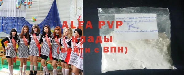 стаф Алзамай