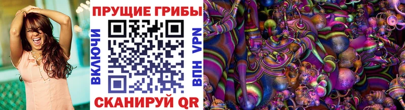 Псилоцибиновые грибы мицелий Пласт