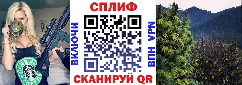 что такое наркотик  Пласт  Бошки марихуана Bruce Banner 